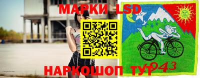 прущие крисы Гатчина