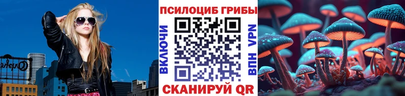 купить наркотики цена  Курск  Псилоцибиновые грибы прущие грибы 