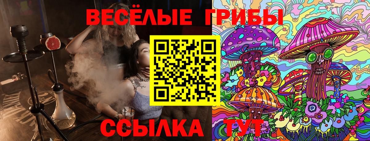 Псилоцибиновые грибы прущие грибы  цены наркотик  Курск 