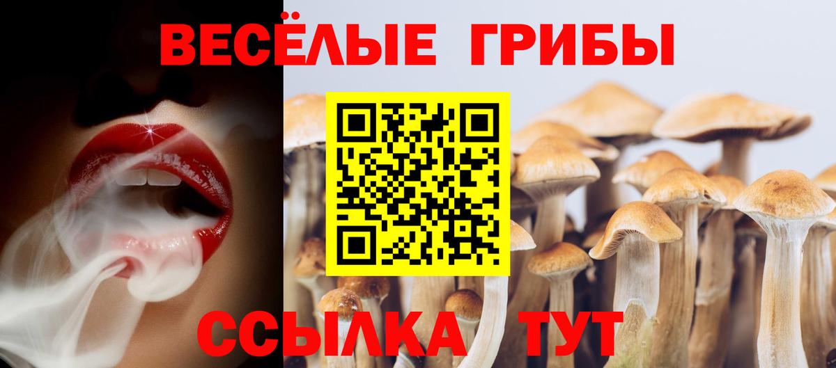 Курск  Галлюциногенные грибы Magic Shrooms  Вход с VPN 