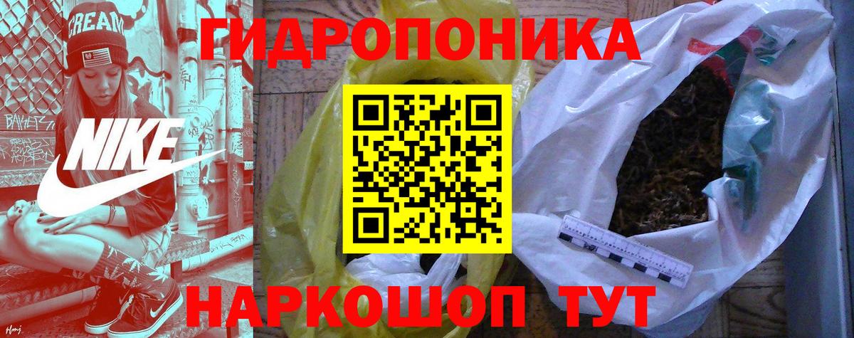 Марихуана сатива Курск